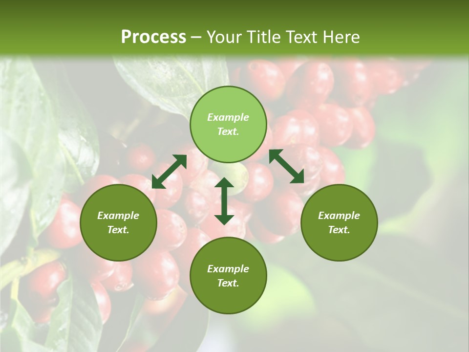 A Bunch Of Red Berries Growing On A Tree PowerPoint Template