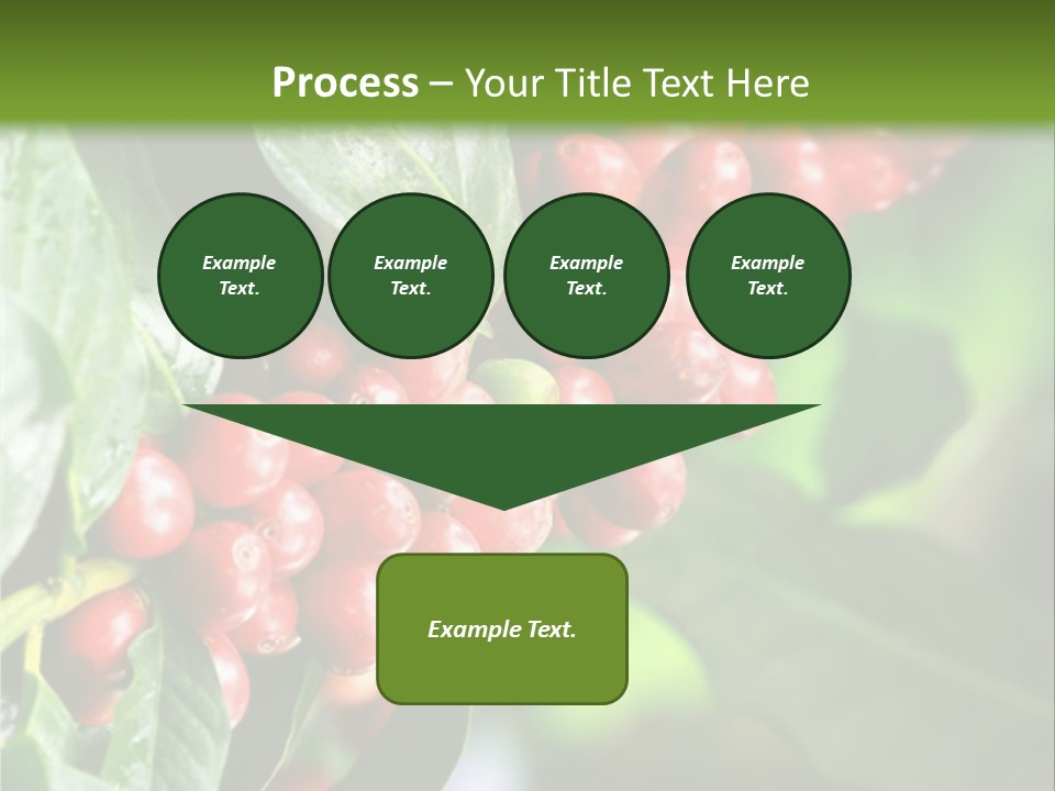 A Bunch Of Red Berries Growing On A Tree PowerPoint Template