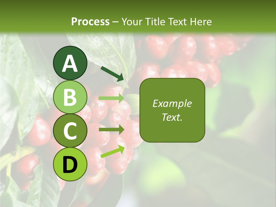 A Bunch Of Red Berries Growing On A Tree PowerPoint Template
