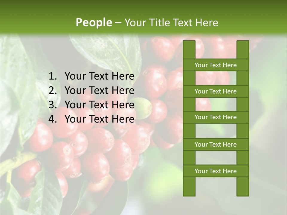 A Bunch Of Red Berries Growing On A Tree PowerPoint Template