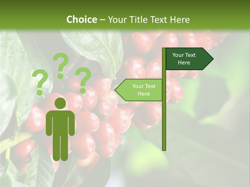 A Bunch Of Red Berries Growing On A Tree PowerPoint Template