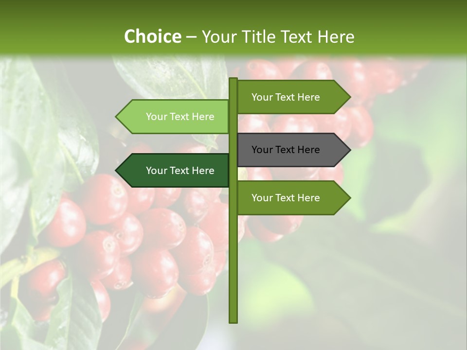 A Bunch Of Red Berries Growing On A Tree PowerPoint Template