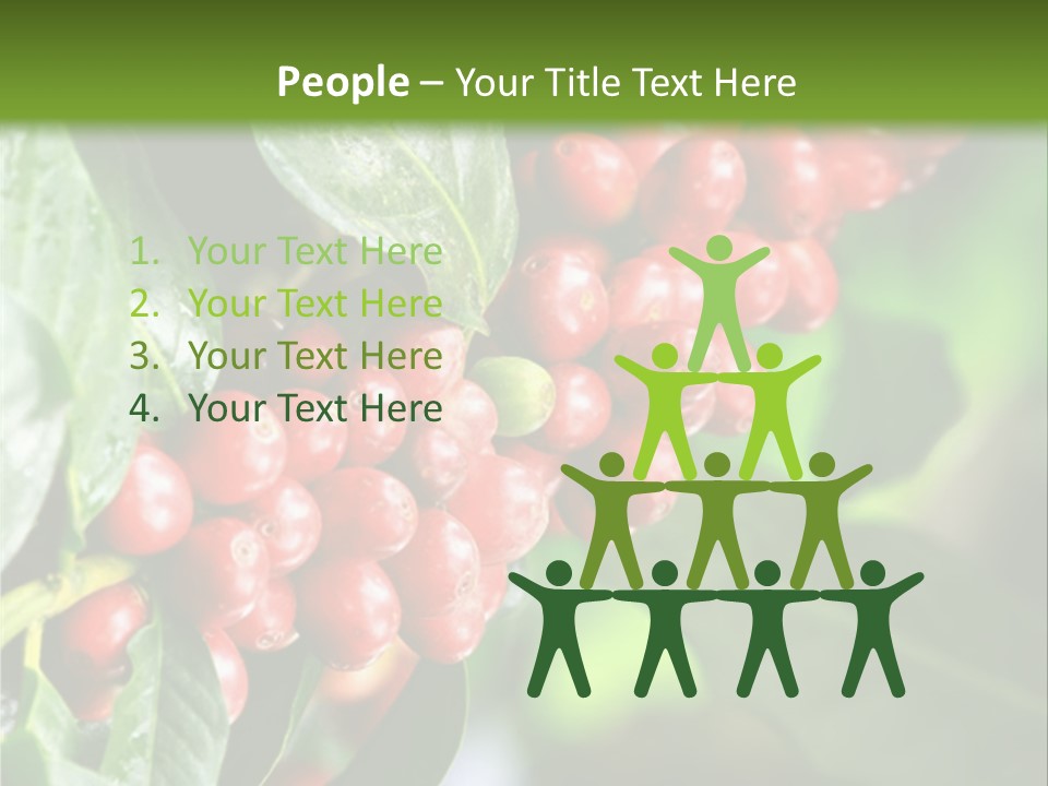 A Bunch Of Red Berries Growing On A Tree PowerPoint Template