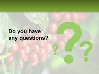 A Bunch Of Red Berries Growing On A Tree PowerPoint Template