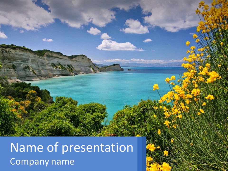 A Beautiful Blue Ocean With Yellow Flowers In The Foreground PowerPoint Template