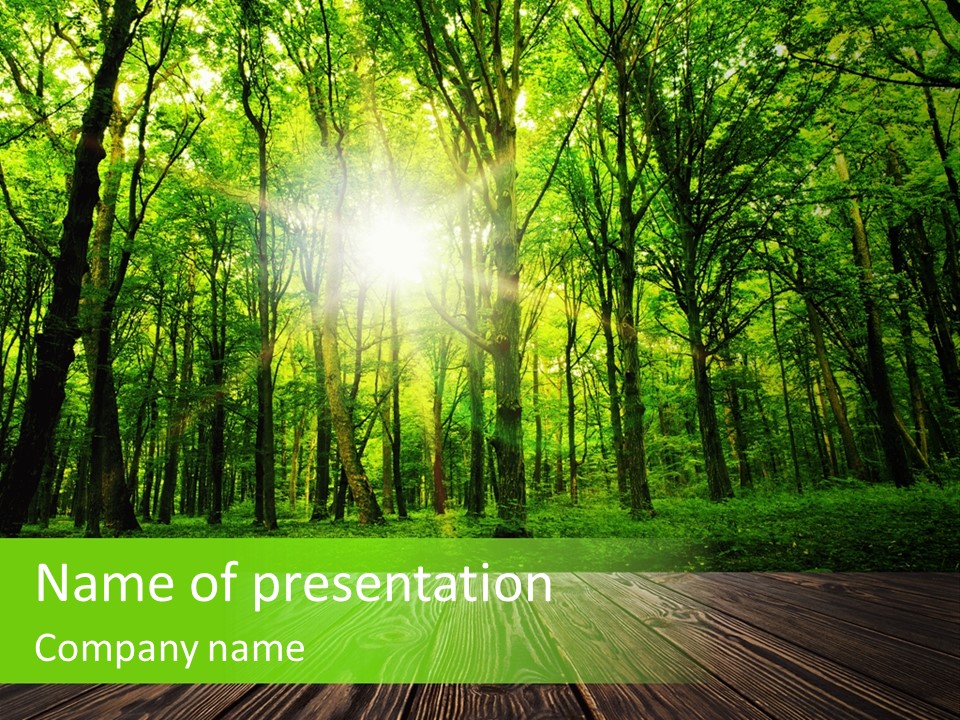 A Wooden Deck In A Forest With The Sun Shining Through The Trees PowerPoint Template