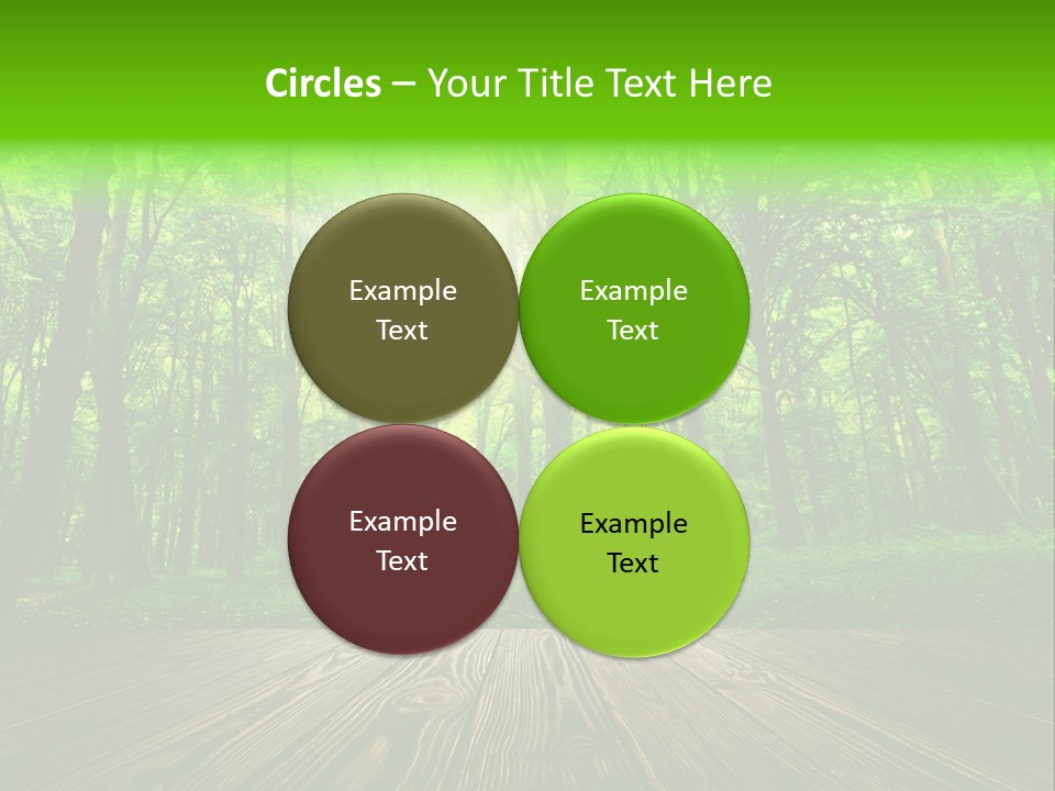 A Wooden Deck In A Forest With The Sun Shining Through The Trees PowerPoint Template