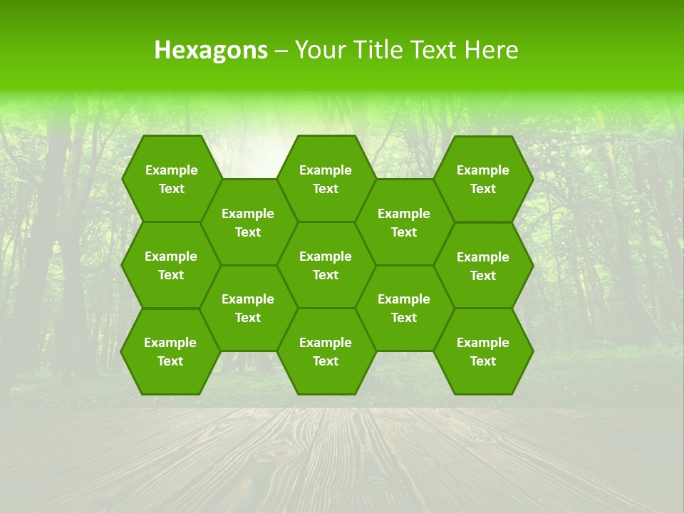 A Wooden Deck In A Forest With The Sun Shining Through The Trees PowerPoint Template