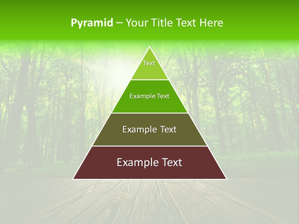 A Wooden Deck In A Forest With The Sun Shining Through The Trees PowerPoint Template
