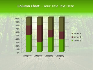 A Wooden Deck In A Forest With The Sun Shining Through The Trees PowerPoint Template