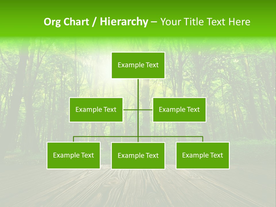 A Wooden Deck In A Forest With The Sun Shining Through The Trees PowerPoint Template