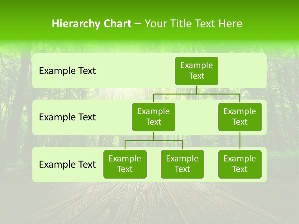 A Wooden Deck In A Forest With The Sun Shining Through The Trees PowerPoint Template