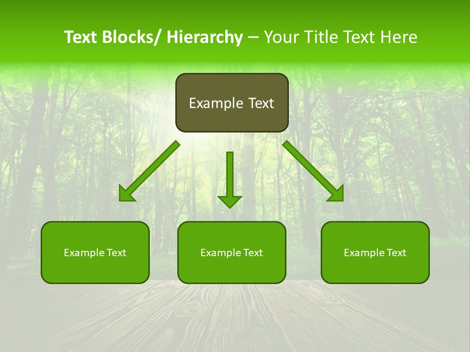 A Wooden Deck In A Forest With The Sun Shining Through The Trees PowerPoint Template
