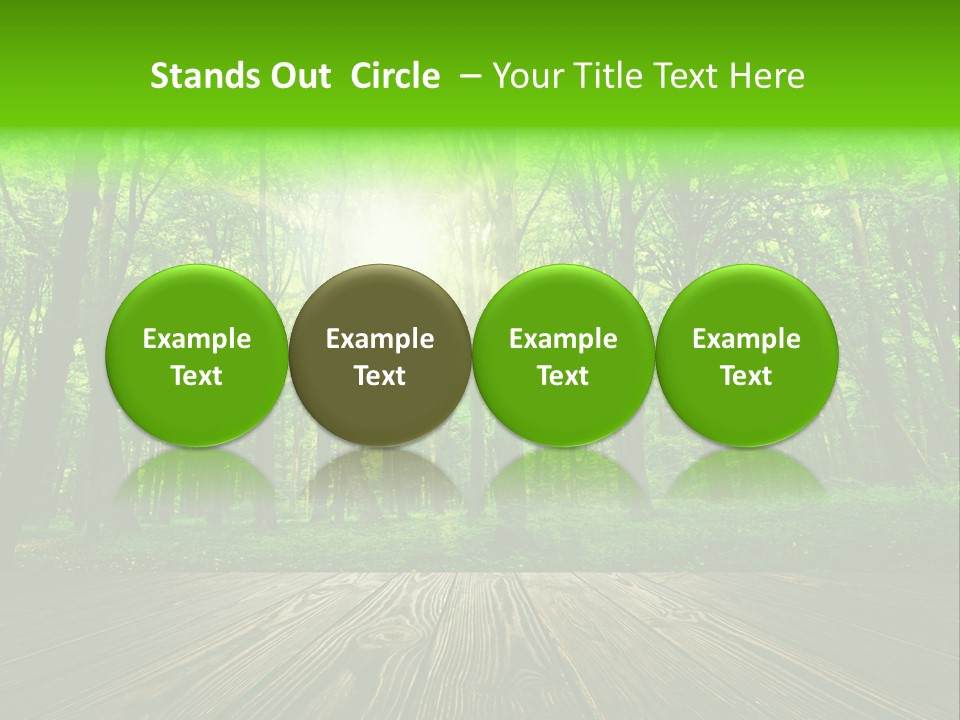 A Wooden Deck In A Forest With The Sun Shining Through The Trees PowerPoint Template