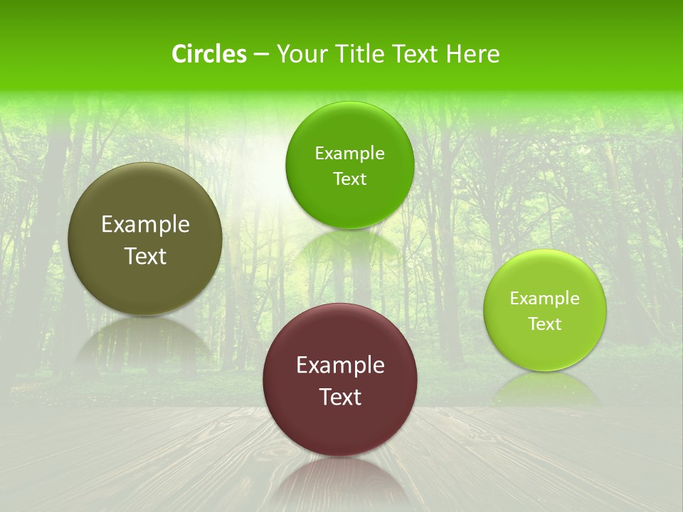 A Wooden Deck In A Forest With The Sun Shining Through The Trees PowerPoint Template