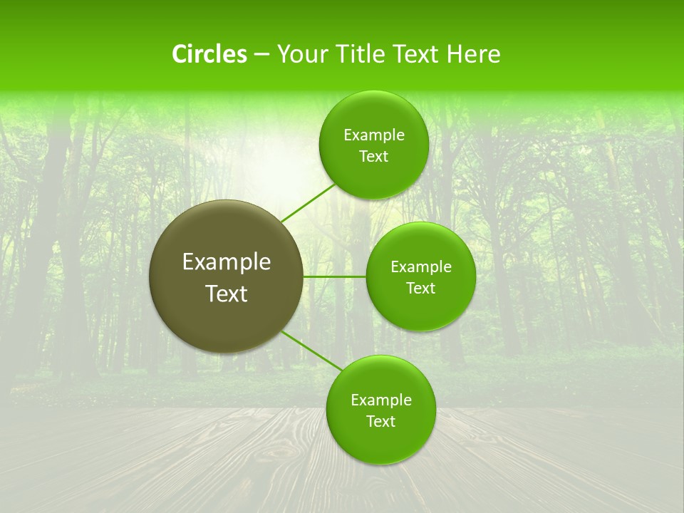 A Wooden Deck In A Forest With The Sun Shining Through The Trees PowerPoint Template