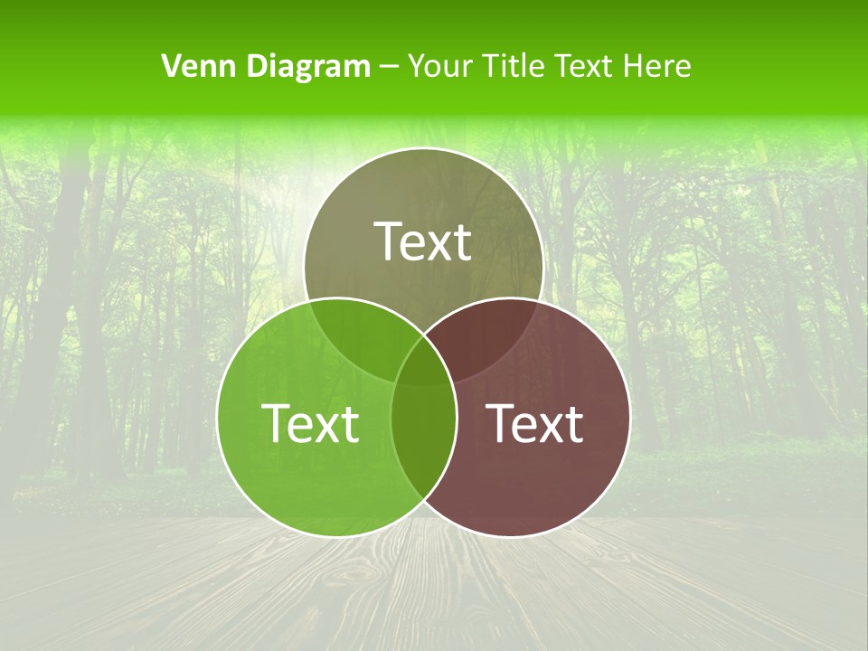 A Wooden Deck In A Forest With The Sun Shining Through The Trees PowerPoint Template