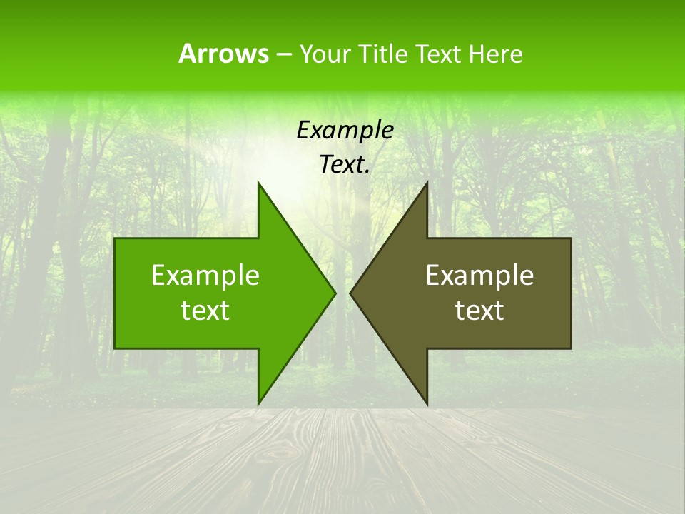 A Wooden Deck In A Forest With The Sun Shining Through The Trees PowerPoint Template
