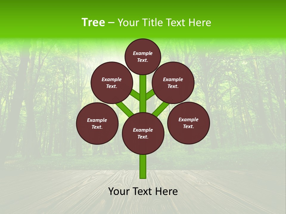 A Wooden Deck In A Forest With The Sun Shining Through The Trees PowerPoint Template