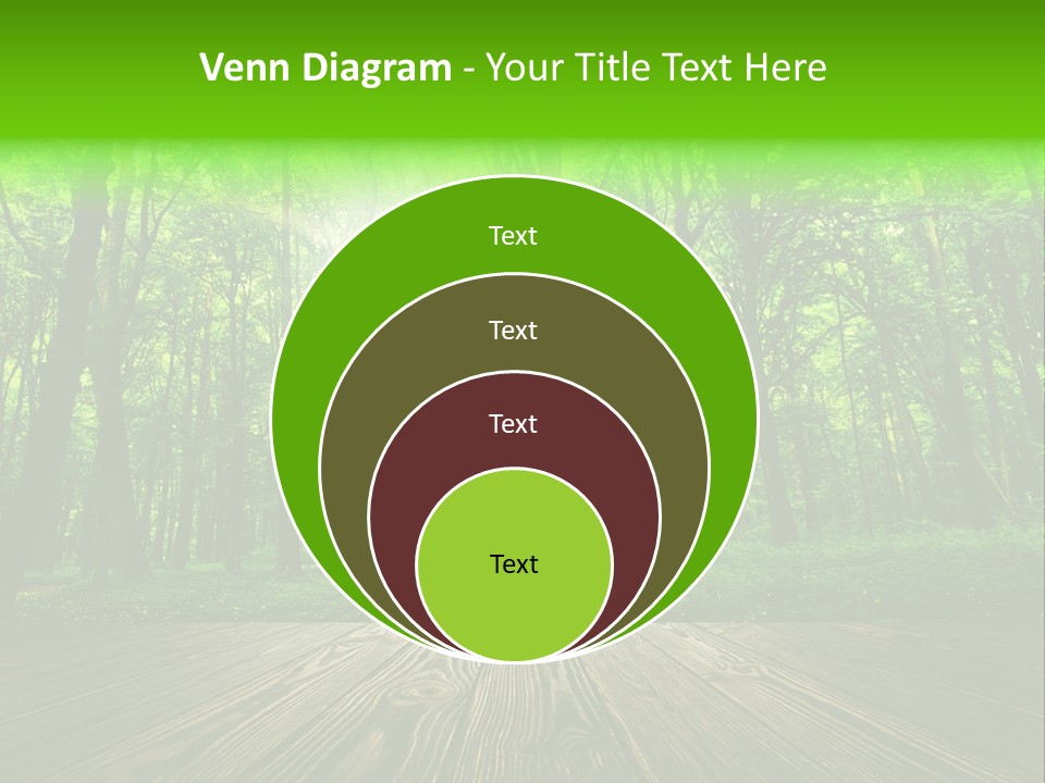 A Wooden Deck In A Forest With The Sun Shining Through The Trees PowerPoint Template