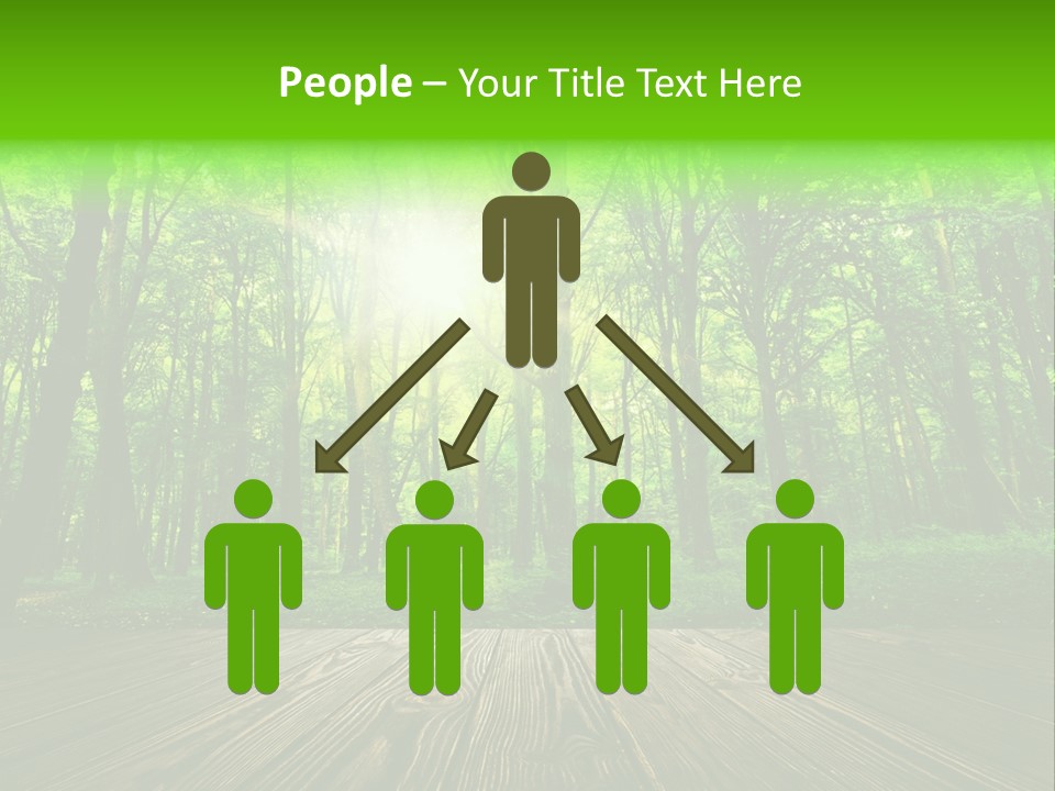 A Wooden Deck In A Forest With The Sun Shining Through The Trees PowerPoint Template