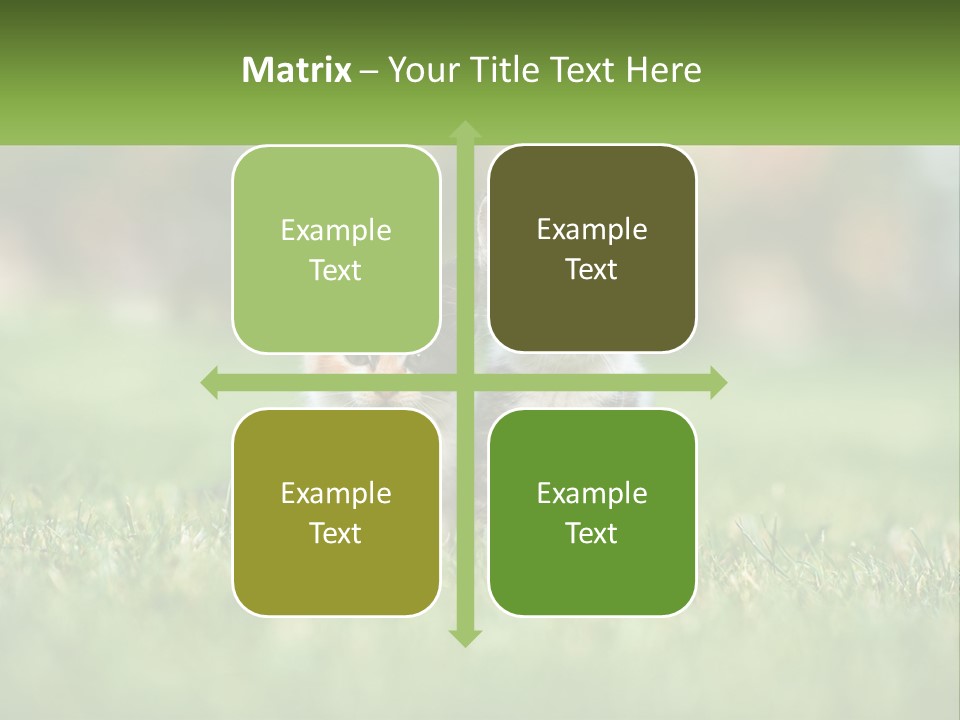 Two Small Kittens Are Sitting In The Grass PowerPoint Template