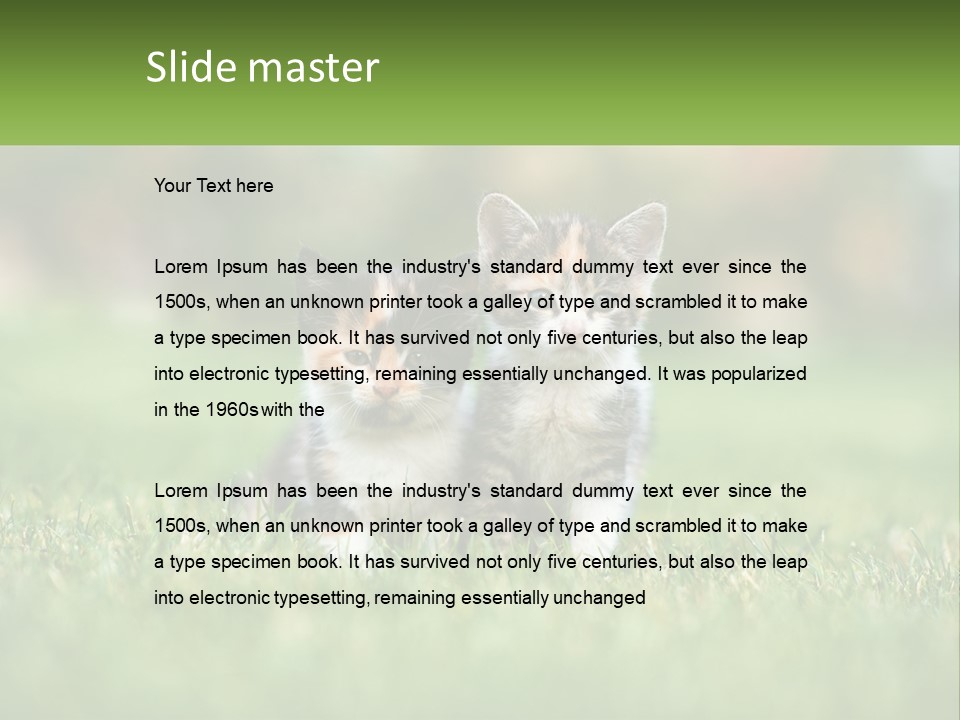 Two Small Kittens Are Sitting In The Grass PowerPoint Template