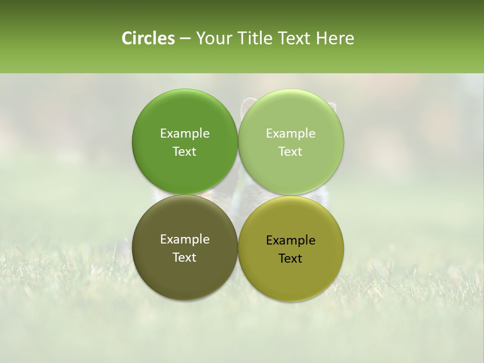 Two Small Kittens Are Sitting In The Grass PowerPoint Template