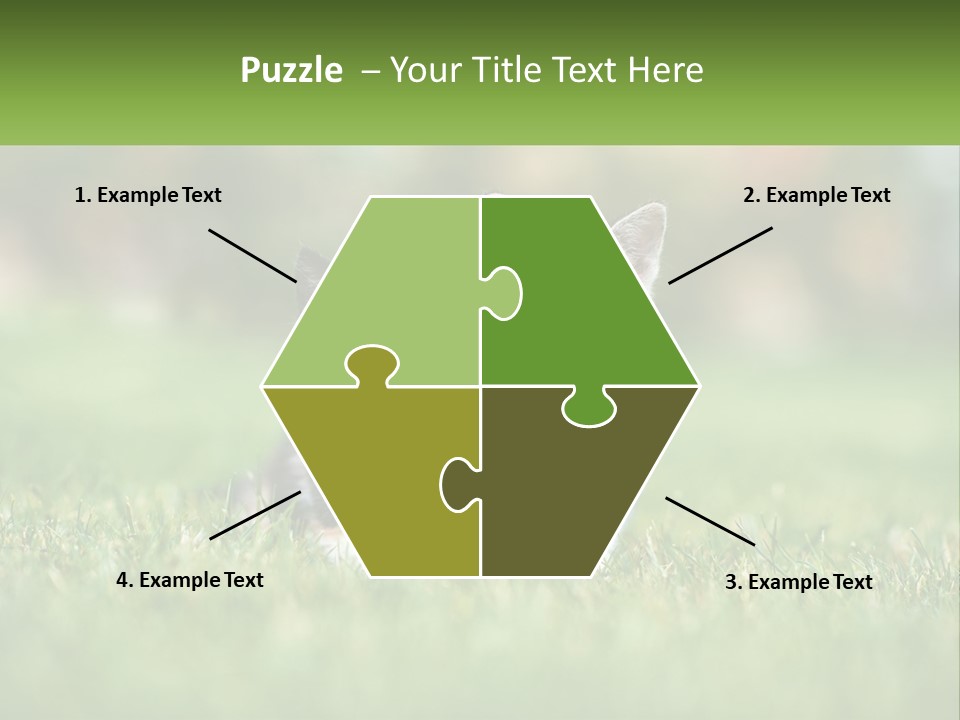 Two Small Kittens Are Sitting In The Grass PowerPoint Template