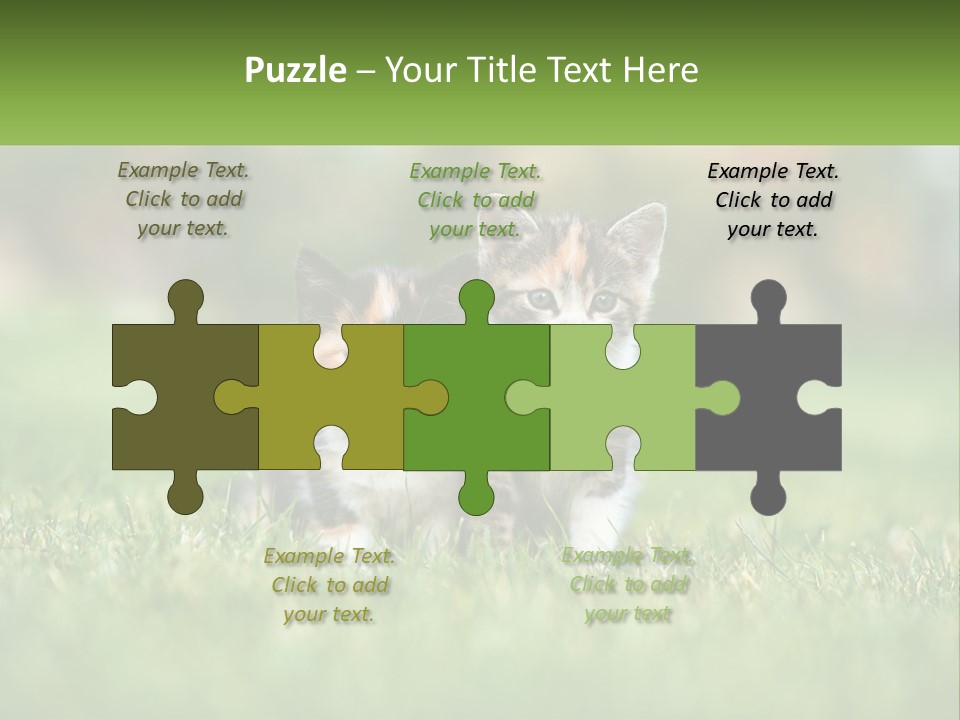 Two Small Kittens Are Sitting In The Grass PowerPoint Template