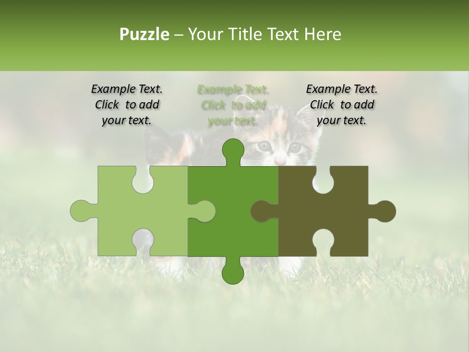 Two Small Kittens Are Sitting In The Grass PowerPoint Template