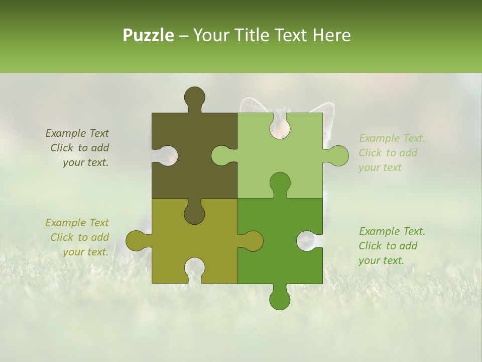 Two Small Kittens Are Sitting In The Grass PowerPoint Template