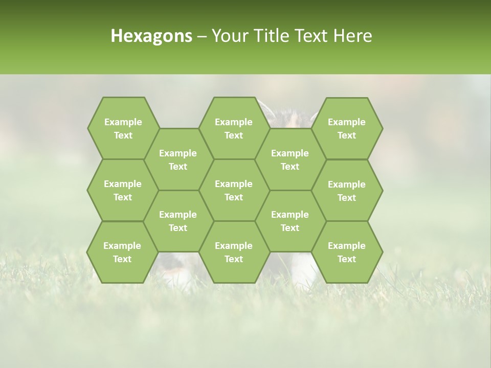 Two Small Kittens Are Sitting In The Grass PowerPoint Template