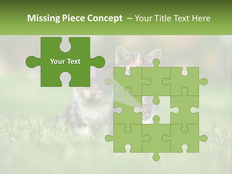 Two Small Kittens Are Sitting In The Grass PowerPoint Template