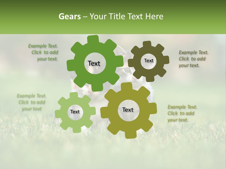 Two Small Kittens Are Sitting In The Grass PowerPoint Template