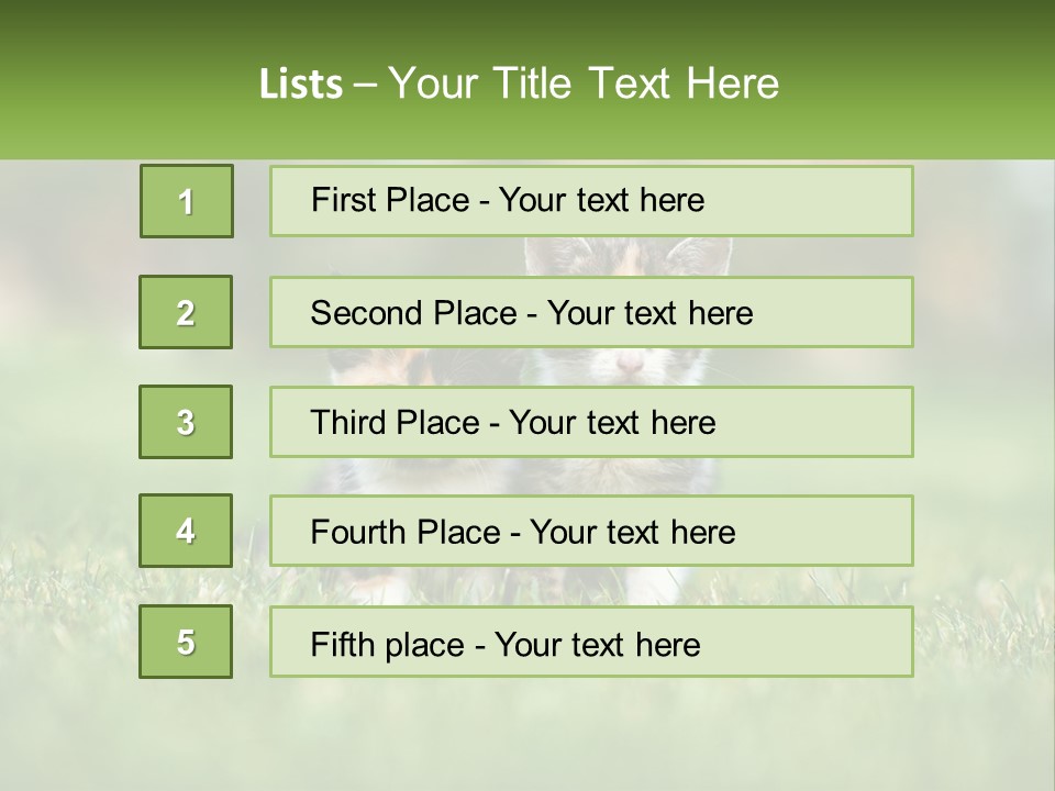 Two Small Kittens Are Sitting In The Grass PowerPoint Template