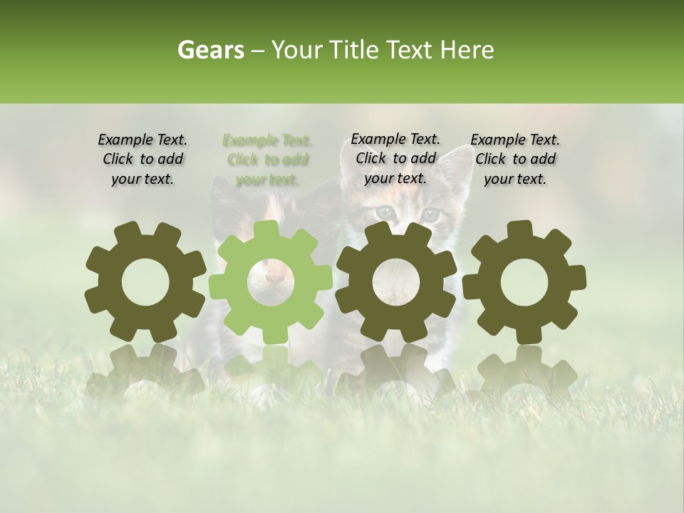 Two Small Kittens Are Sitting In The Grass PowerPoint Template