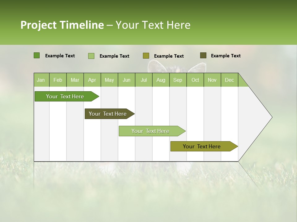 Two Small Kittens Are Sitting In The Grass PowerPoint Template