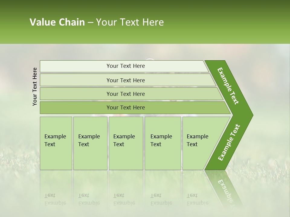 Two Small Kittens Are Sitting In The Grass PowerPoint Template