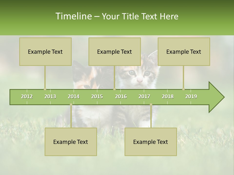 Two Small Kittens Are Sitting In The Grass PowerPoint Template