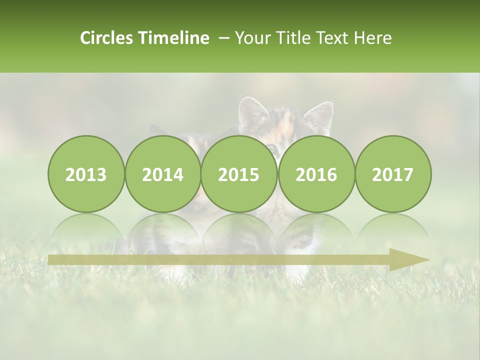 Two Small Kittens Are Sitting In The Grass PowerPoint Template
