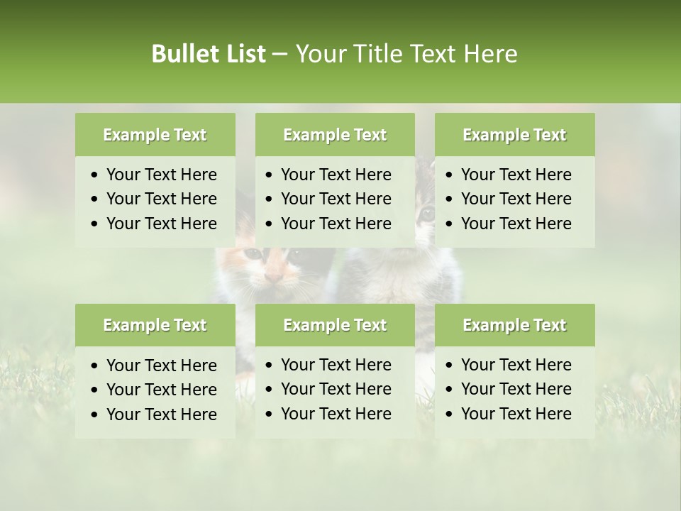 Two Small Kittens Are Sitting In The Grass PowerPoint Template