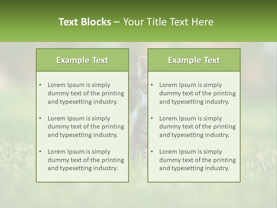 Two Small Kittens Are Sitting In The Grass PowerPoint Template