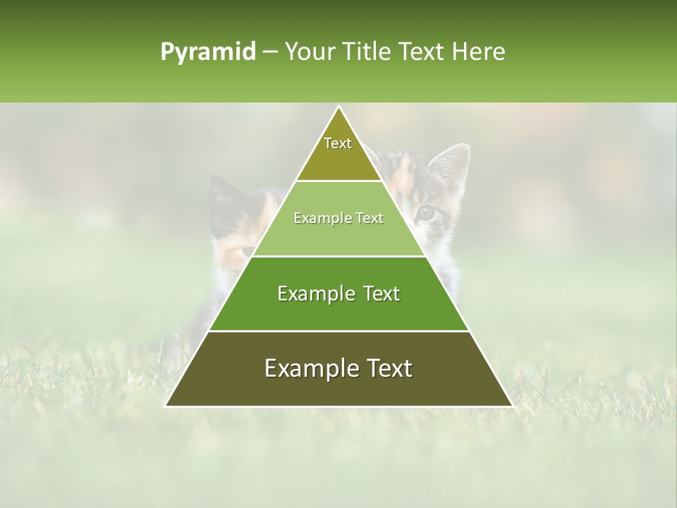 Two Small Kittens Are Sitting In The Grass PowerPoint Template