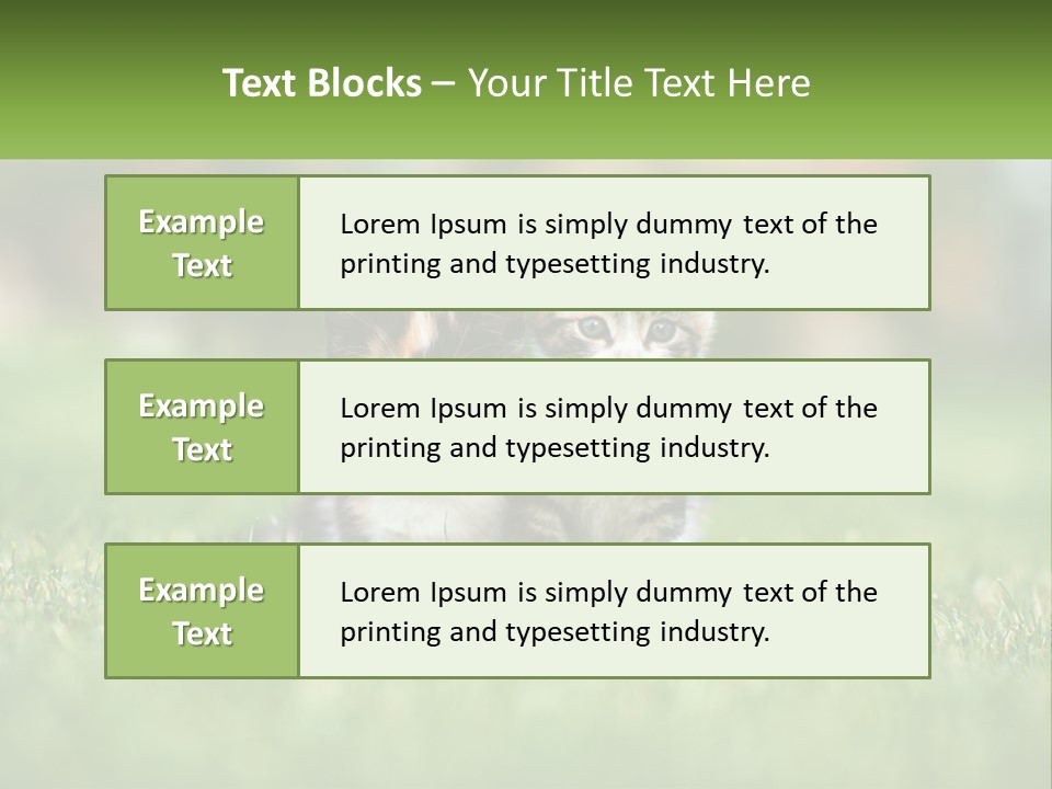 Two Small Kittens Are Sitting In The Grass PowerPoint Template