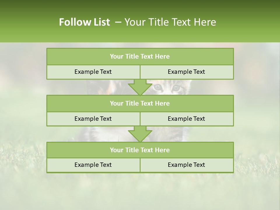 Two Small Kittens Are Sitting In The Grass PowerPoint Template