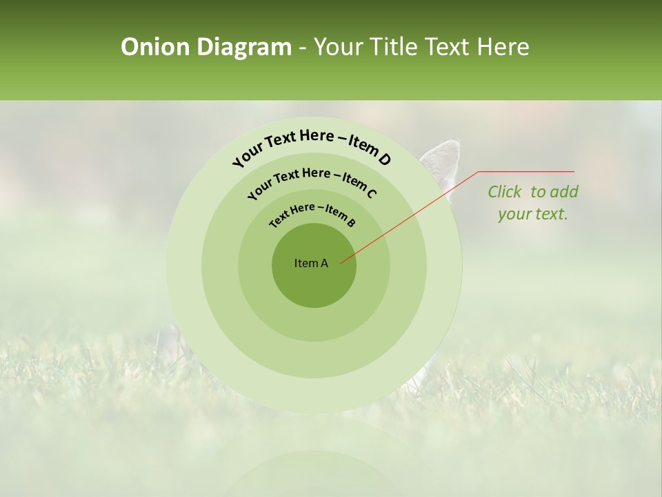 Two Small Kittens Are Sitting In The Grass PowerPoint Template