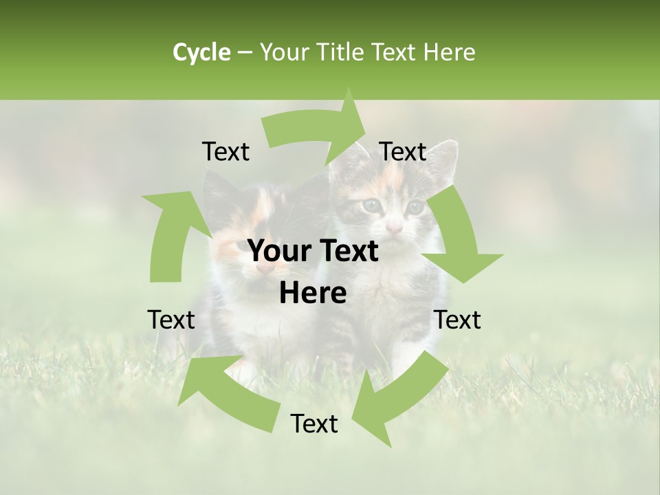 Two Small Kittens Are Sitting In The Grass PowerPoint Template