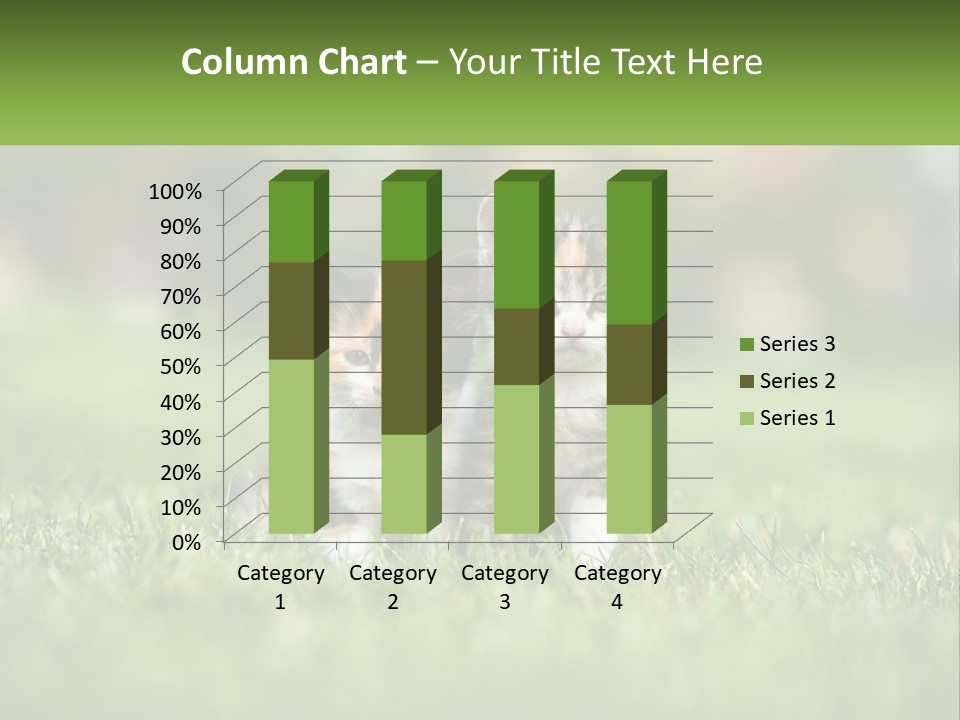 Two Small Kittens Are Sitting In The Grass PowerPoint Template