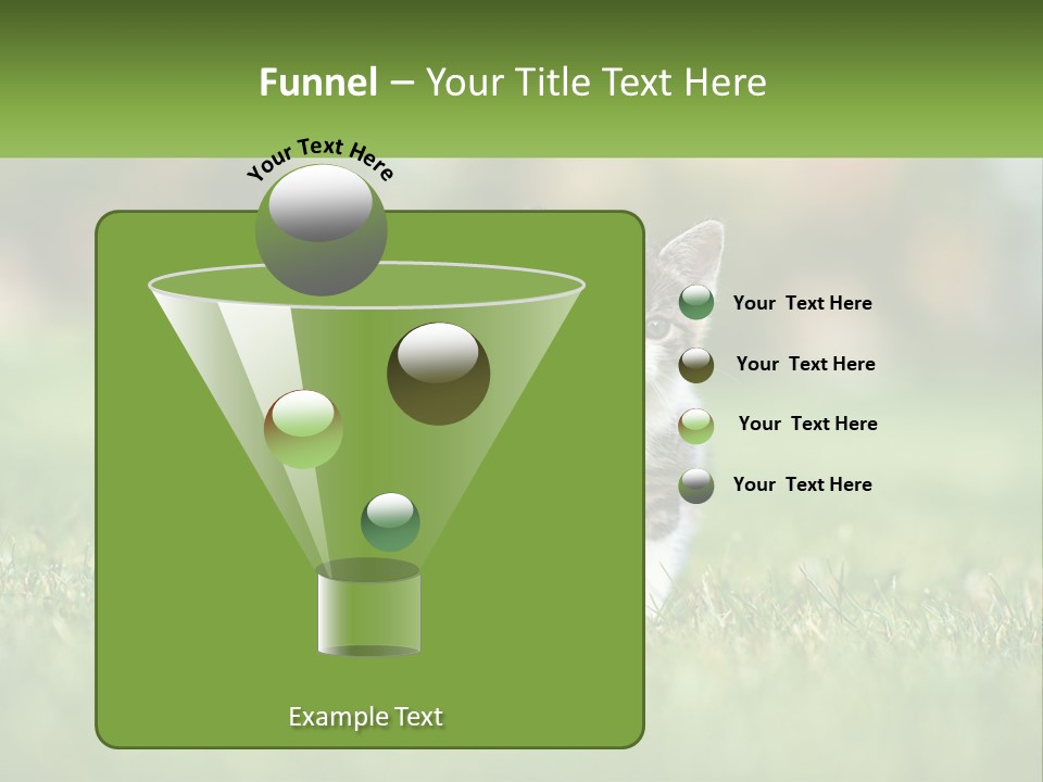 Two Small Kittens Are Sitting In The Grass PowerPoint Template